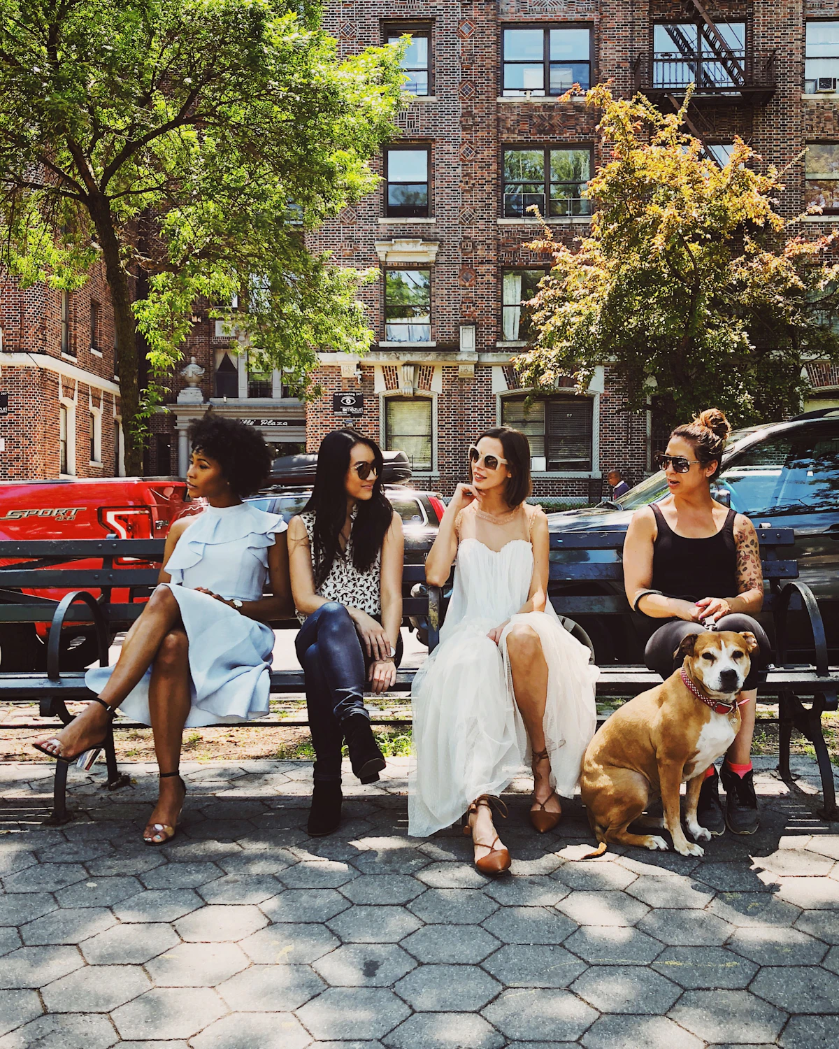 Four women chatting on a park bench outside a brick apartment building, a dog at their feet